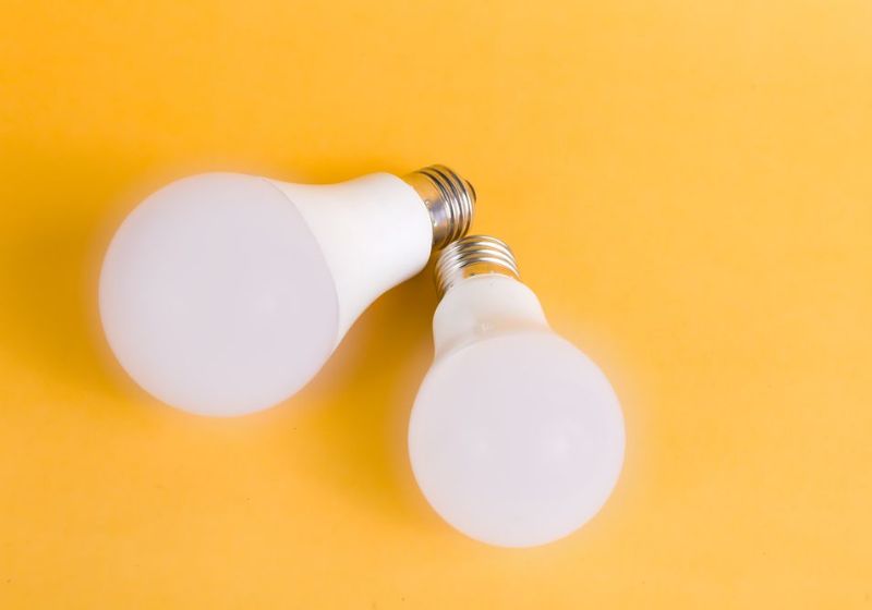 evelor A19 LED Light Bulbs (6 pack)